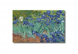 Van Gogh Quadro Irises Tela Canvas 100% Algodo 80x50